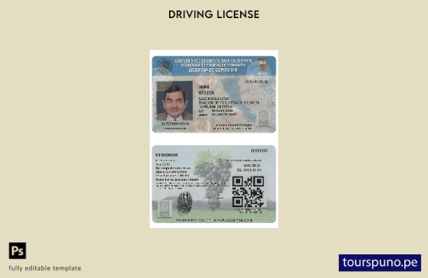 Plantilla de licencia de conducir de México Baja California lista para imprimir